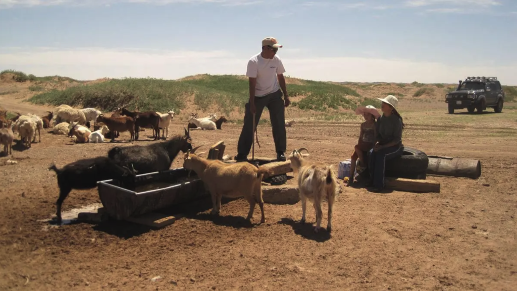 goats drinking from trough with man, woman, and child looking on